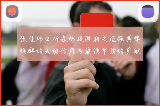 张佳玮分析森林狼胜利之道强调锋线群的关键作用与爱德华兹的贡献